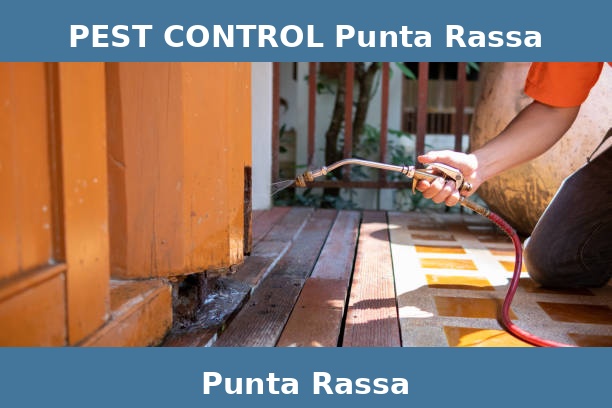 PEST CONTROL Punta Rassa